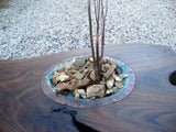 Table / Black Walnut / Water Feature / Coffee Table